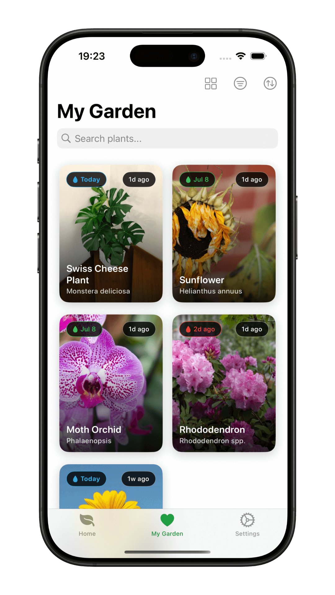 Greenie Plant Collection