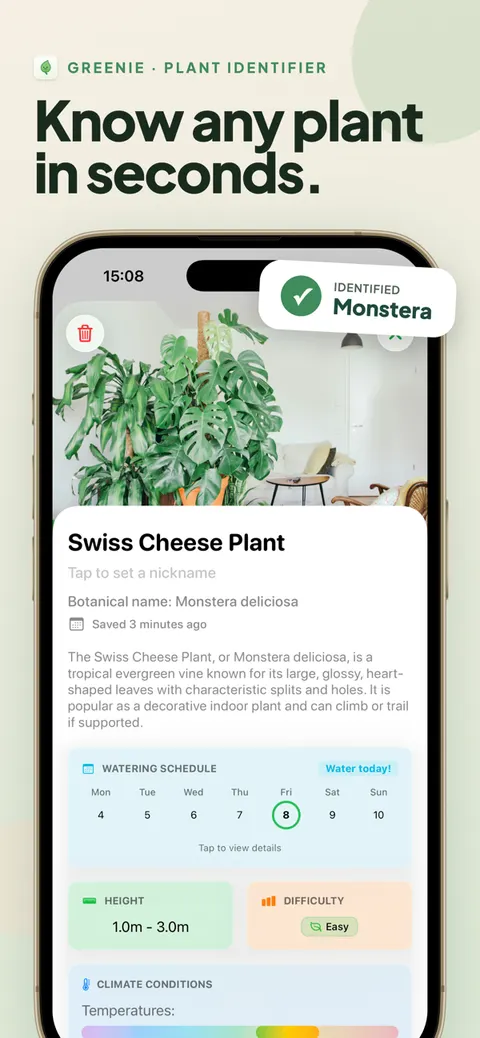 Every plant, instantly: Greenie identifies a Swiss cheese plant